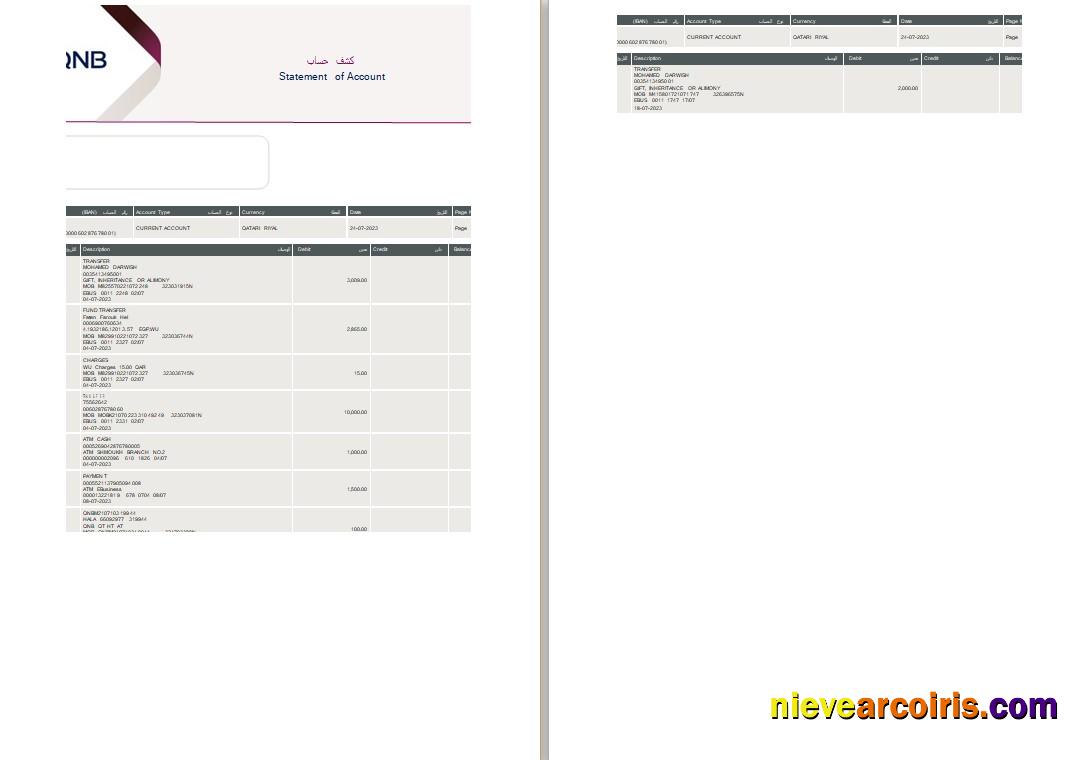 Qatar QNB statement Word and PDF, 2 pages